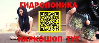 крисы Канаш