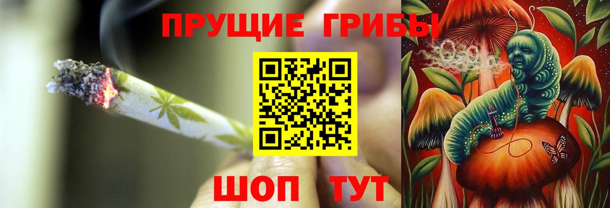Фрязино  Псилоцибиновые грибы Magic Shrooms  Вход с VPN  Галлюциногенные грибы мицелий 